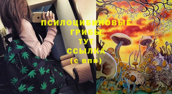 стафф Абаза