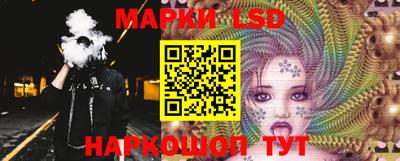 винт Донецк