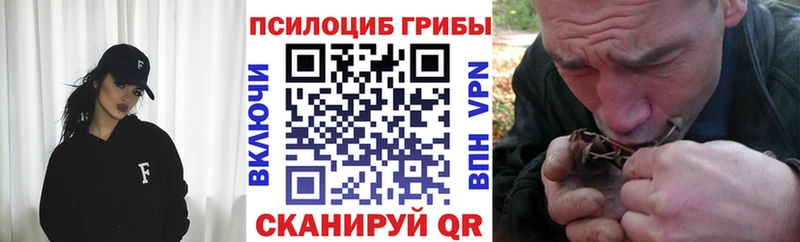 Псилоцибиновые грибы Magic Shrooms  наркотики  Советский 